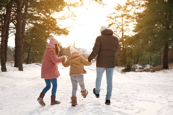 Happy rodina procházky v parku v zimní den - Fotografie, Obrázek