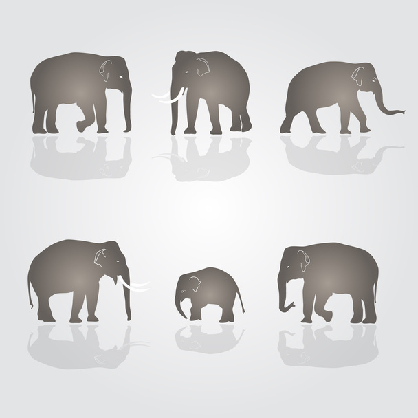 σύνολο eps10 απλή ελέφαντες διάνυσμα - Διάνυσμα, εικόνα