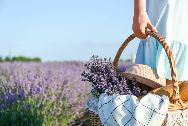 Beautiful young woman with picnic basket in lavender field - Foto, Imagen