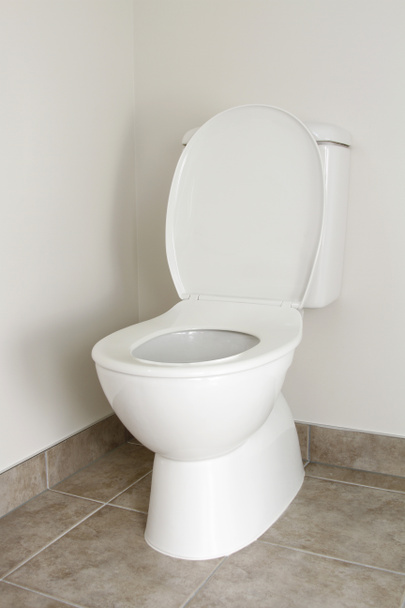 Toilet - Foto, afbeelding