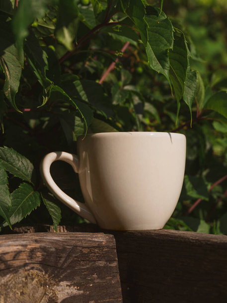 Fehér porcelán tea csésze mockup fából készült erkélyen zöld vad szőlő ország sityle. Bögre sablon meleg egészséges ital. Forrón főzött természetes ital. Hangulatos édes otthon hétvége reggeli vendégház - Fotó, kép
