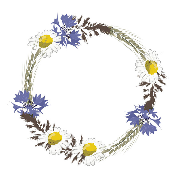 Colored seamless wreath of chamomile, cornflowers,ears of corn and bluegrass. - Foto, Imagen