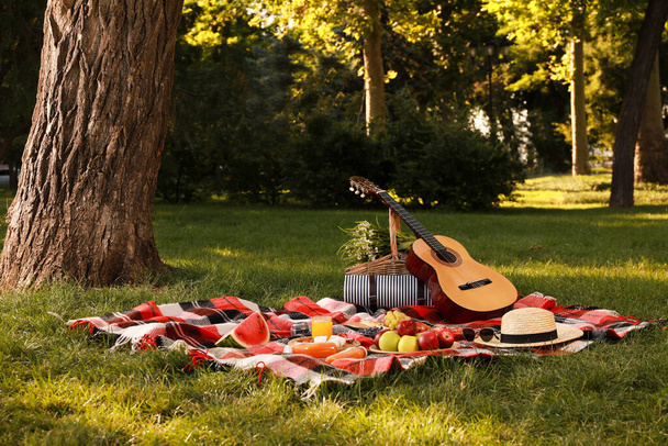 Picnic basket, guitar, food and drinks on plaid in summer park - 写真・画像