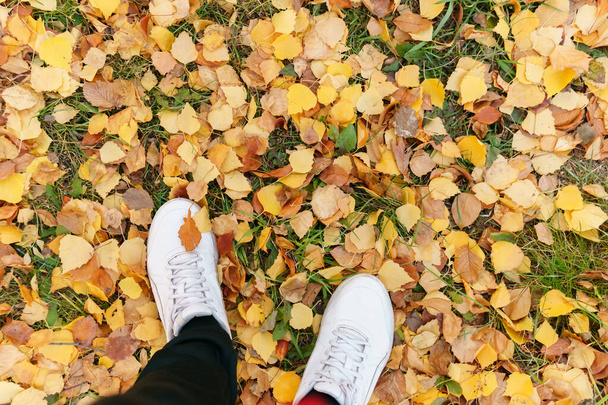 Vista superior de los zapatos de un hombre sobre una capa de hojas amarillas de otoño caídas de los árboles. concepto de otoño. - Foto, Imagen
