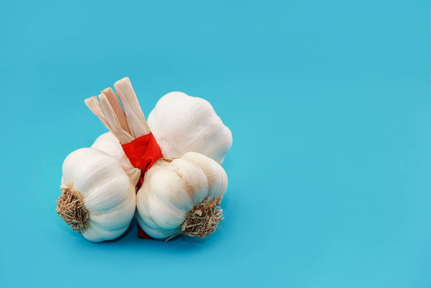 dry white garlic and its cloves - 写真・画像