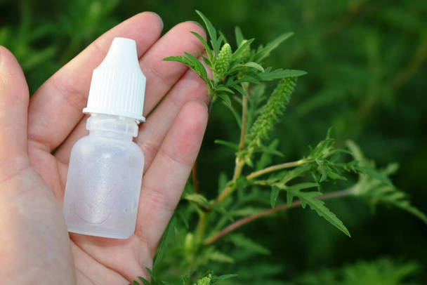 The girl in her hand holds nasal drops from allergies on the background of ragweed. Ambrosia allergy concept. - Photo, Image