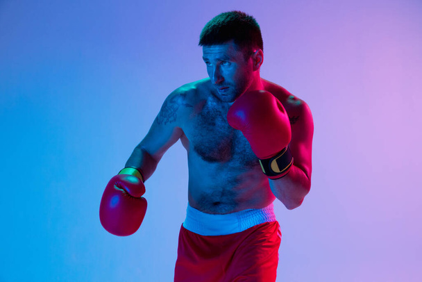 One man, professional boxer in sportwear boxing on studio background in gradient neon light. Concept of sport, activity, movement, wellbeing. - Zdjęcie, obraz