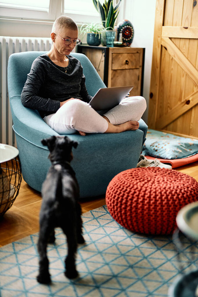 A dedicated senior businesswoman sitting at home with her dog and finishing work on a laptop. - Valokuva, kuva