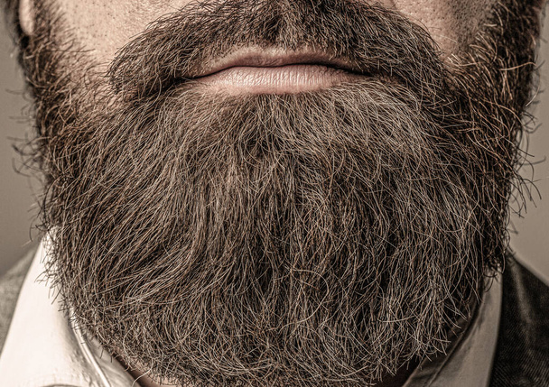 Closeup of bearded mans. Male with mustache growing. Perfect beard. Close-up of young bearded man. Close up of handsome beard hipster elegant male - 写真・画像