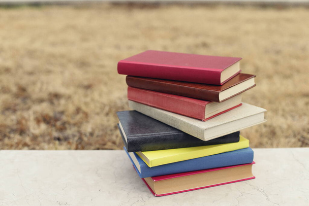 Hromada knih na zdi před školou - Fotografie, Obrázek