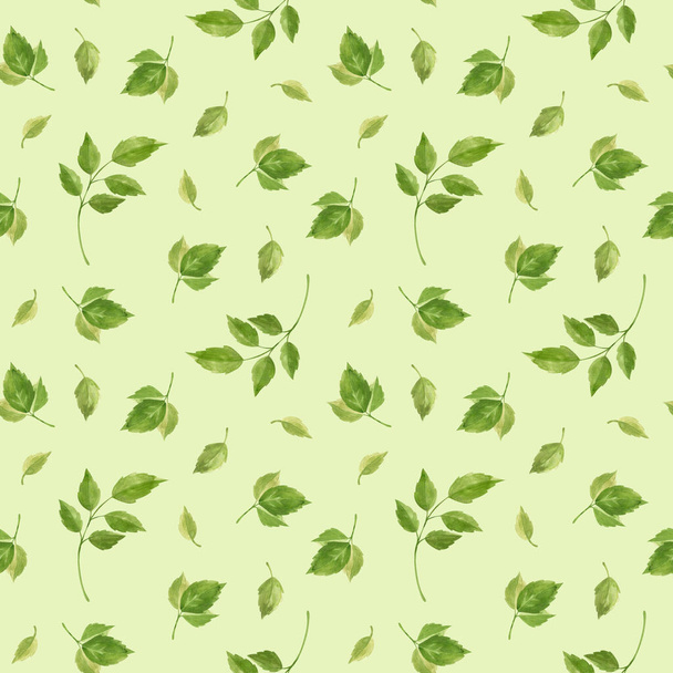 Rose leaves seamless pattern. Floral elements on green  background, vintage style. Watercolor clipart. - Фото, изображение