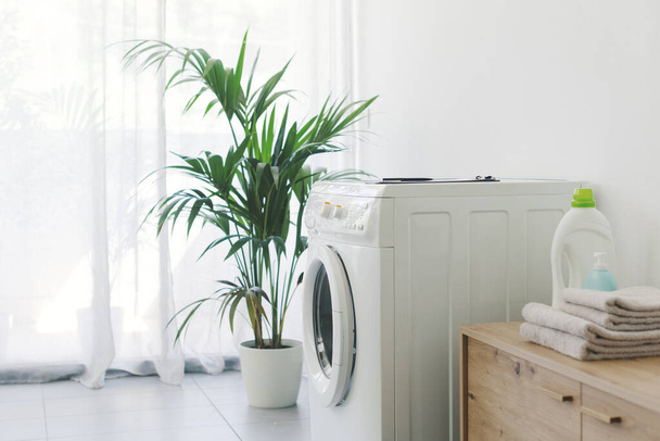Washing machine in the laundry at home and houseplant - Valokuva, kuva