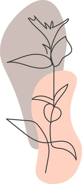 A plant drawn in a vector by one continuous line. - Vector, afbeelding