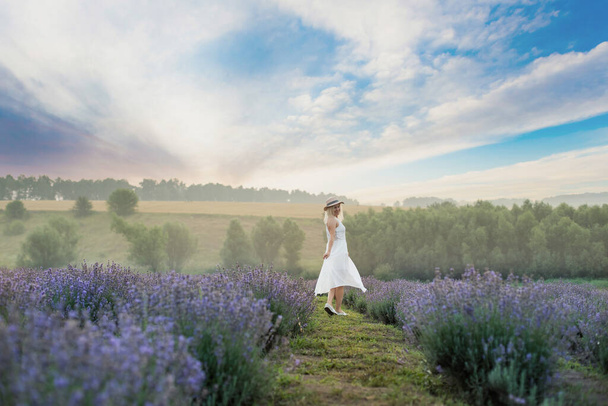 Beautiful young woman in wicker hat and white dress in a lavender field with - Фото, изображение