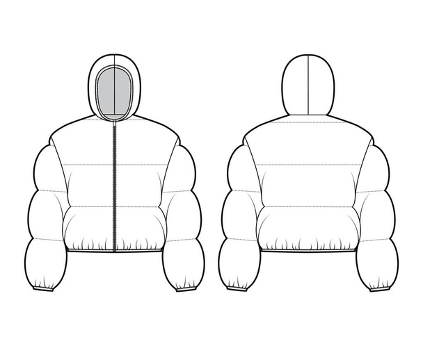 З капюшоном куртка вниз пуф технічна модна ілюстрація з довгими рукавами, закриттям блискавки, підгонка до кисню, довжина посіву
 - Вектор, зображення