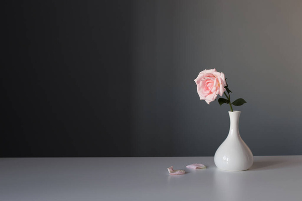 pink rose in white vase on gray background - Фото, зображення