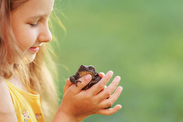 little curious girl 5 years old, holding large earth toad, frog on her hand, while in fresh air. The child looks at the amphibious animal with curiosity and interest. The baby wants to kiss the frog. - Photo, image