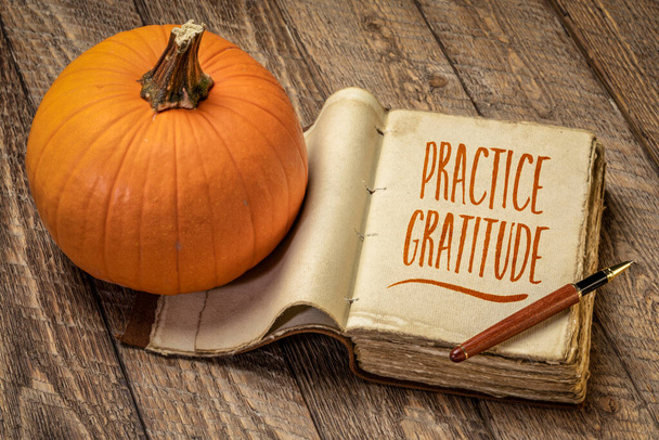 practice gratitude inspirational note - handwriting in a retro journal with a pumpkin against rustic wood, Thanksgiving theme - Fotografie, Obrázek