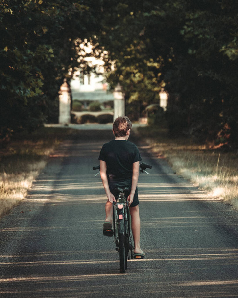 A back view of a young boy riding a bicycle with no hands on the forest road at sunset - 写真・画像