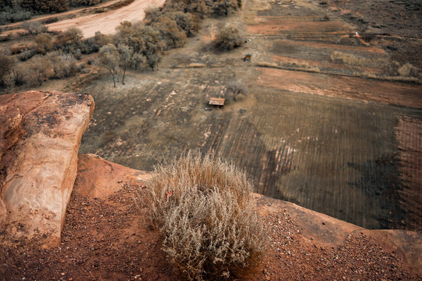 An aerial view of a desert landscape with red soil with trees - Фото, зображення