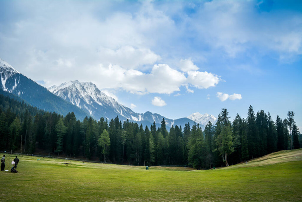 Пышный зеленый луг долины Байсаран Пахальгам, Джамму и Кашмир. это место также называют Мини-Швейцарией Индии за его непревзойденную красоту. - Фото, изображение