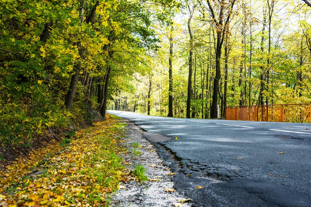 Asfaltová cesta podzimním lesem za slunečného dne - Fotografie, Obrázek