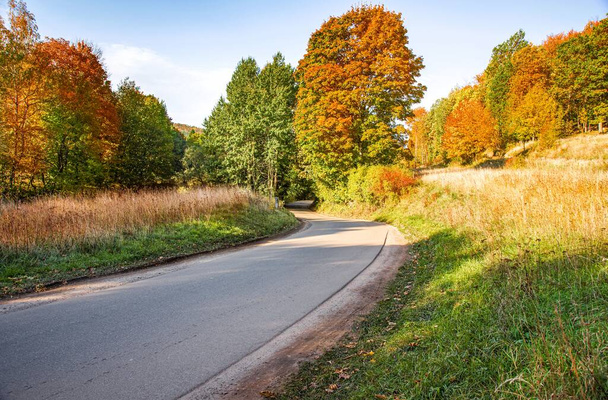 Асфальтована дорога через осінній ліс у сонячний день
 - Фото, зображення