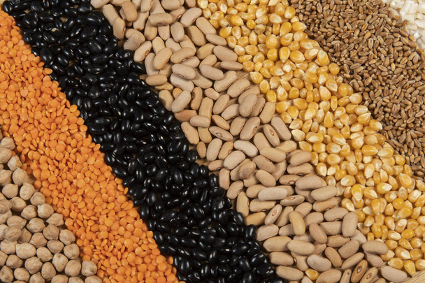 Συλλογή διαφόρων ποικιλιών δημητριακών και βρώσιμων ξηρών σπόρων. Παραδείγματα πηγών ινών - Φωτογραφία, εικόνα