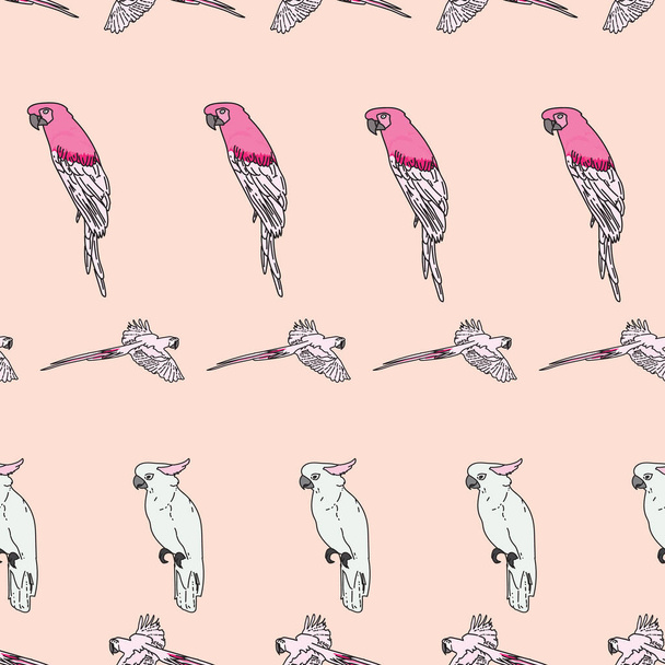 Vector rosa fondo aves tropicales, loros, guacamayos, aves exóticas cacatúa. Fondo de patrón sin costura - Vector, imagen