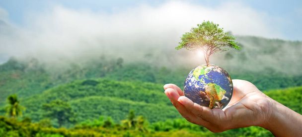 hand holding Earth with tree on nature backdrop, environmental concept - Photo, Image