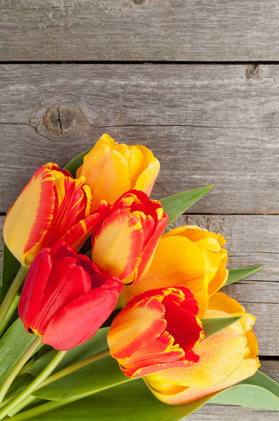 Bouquet di tulipani colorati
 - Foto, immagini