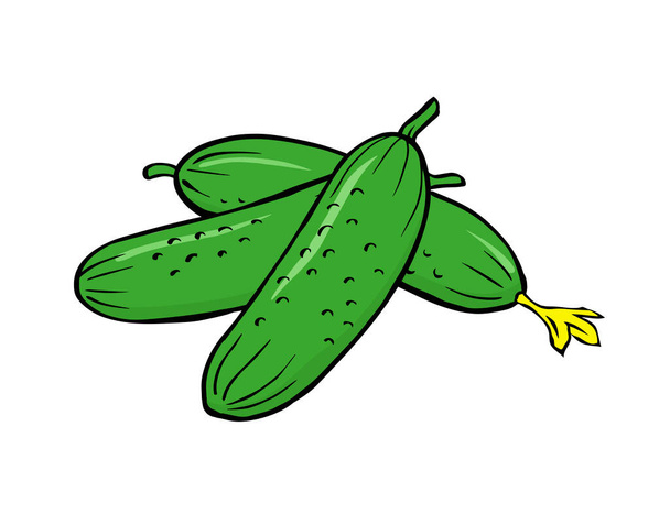 Pepinos verdes sobre un fondo blanco. Una verdura útil, comida dietética. Ilustración de contorno aislado vectorial - Vector, Imagen