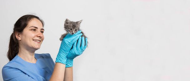 Μια γυναίκα κτηνίατρος γιατρός για τα ζώα σε μια ιατρική στολή και γάντια κρατά ένα μικρό γατάκι. Κτηνιατρική κλινική. αντίγραφο χώρου για το banner κειμένου. - Φωτογραφία, εικόνα