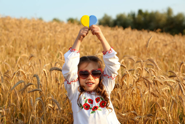 Un cuore giallo e blu e spighe di grano nelle mani di un bambino in una camicia ricamata vyshyvanka. Campo di grano al tramonto.Giorno di indipendenza di Ucraina, Costituzione, bandiera, ricamo - Foto, immagini