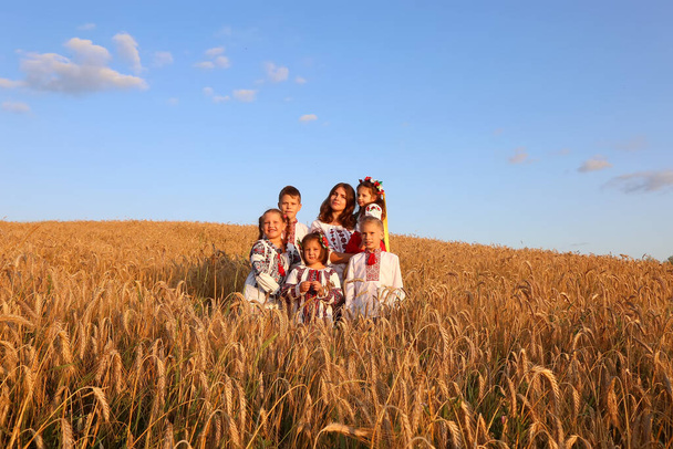 Sechsköpfige Familie in bestickten Hemden auf einem Weizenfeld. Jungen und Mädchen sind eine glückliche ukrainische Familie. Unabhängigkeitstag der Ukraine, Verfassung, bestickte Hemden - Foto, Bild