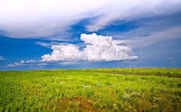 bellissimo campo e cielo nuvoloso blu
 - Foto, immagini