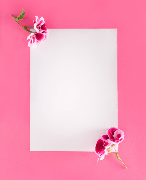 Σύγχρονο φόντο ματζέντα με λουλούδια στο γωνιακό λευκό δημιουργικό χώρο αντιγραφής. Επίπεδη. Άνω όψη. - Φωτογραφία, εικόνα