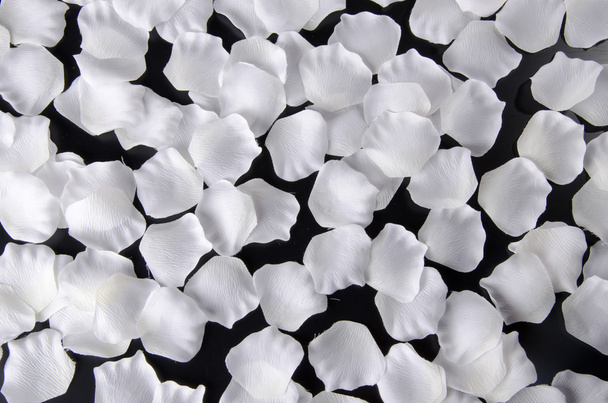Λευκό λουλούδι πέταλα - Φωτογραφία, εικόνα