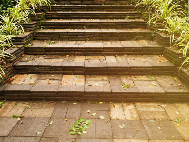 Кирпичная лестница освещает тропинку в слегка травянистом саду. - Фото, изображение