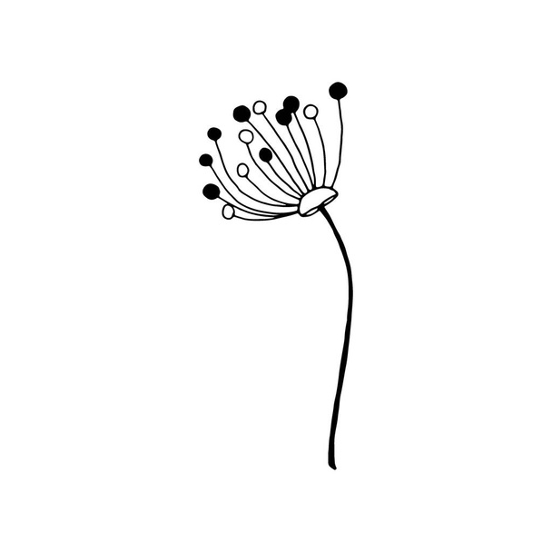 El çizimi çiçek beyaz arka planda izole. Dekoratif karalama çizimi. Vektör çiçek ögesi. - Vektör, Görsel
