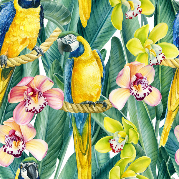 Ara, sfondo tropicale con uccelli e fiori di orchidea, acquerello illustrazione, modello senza soluzione di continuità. Carta digitale - Foto, immagini