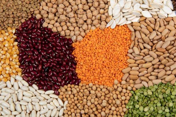 Servings of different varieties of cereals and dry edible seeds. Examples of fiber sources in top view - Φωτογραφία, εικόνα