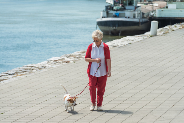 Donna anziana e il suo cane
 - Foto, immagini