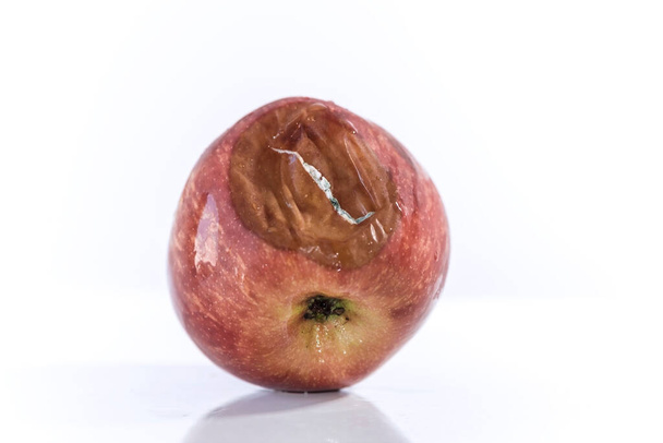 Een rotte appel op een witte achtergrond, close-up, geïsoleerd - Foto, afbeelding