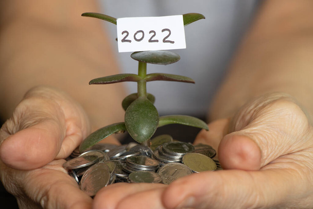 ένα πράσινο δέντρο μεγαλώνει από τα κέρματα στα χέρια ενός ηλικιωμένου στα τραπέζια ένα φύλλο γυαλί 2022 σε ένα δέντρο, τα χρήματα στα χέρια, την ανάπτυξη και την επιτυχία κατά το νέο έτος 2022, χρηματοδότηση - Φωτογραφία, εικόνα