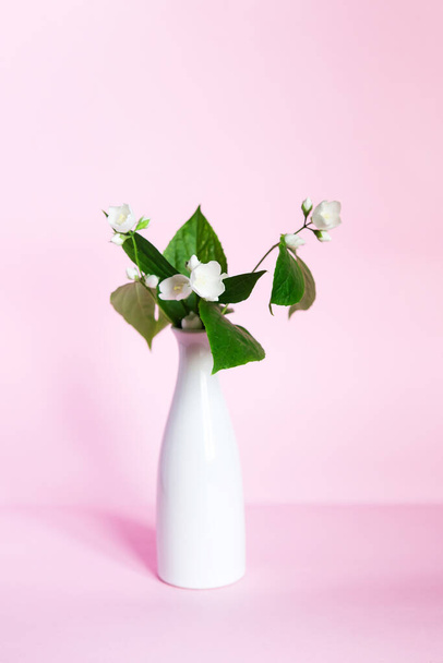 Blooming jasmine in a white ceramic vase on a pink background. Art concept. Scandinavian interior design, no people. Spring still life - Foto, afbeelding