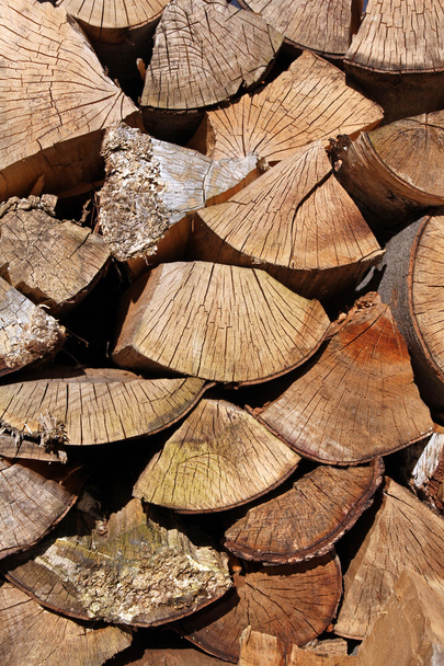 hout stronken - Foto, afbeelding