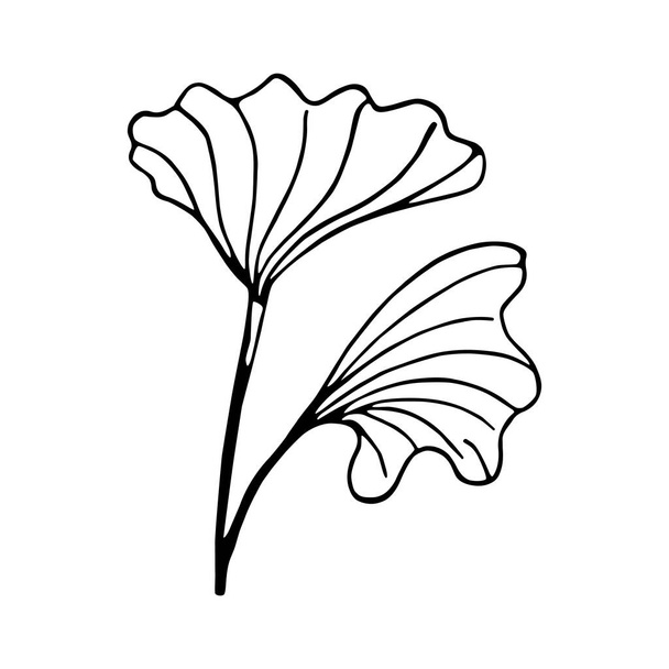 Isolated flower sketch Spring time - Vetor, Imagem