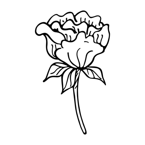 Isolated flower sketch Spring time - Vector, imagen
