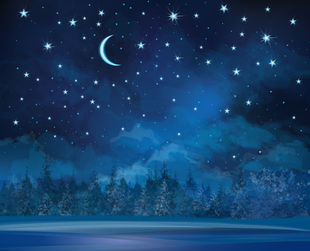 Night winter scene and forest - Vector, Image